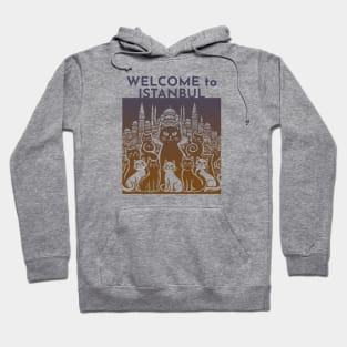 Istanbul Turkey Cats Hoodie